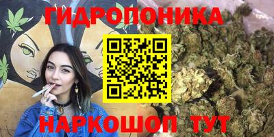 ешки Кимры