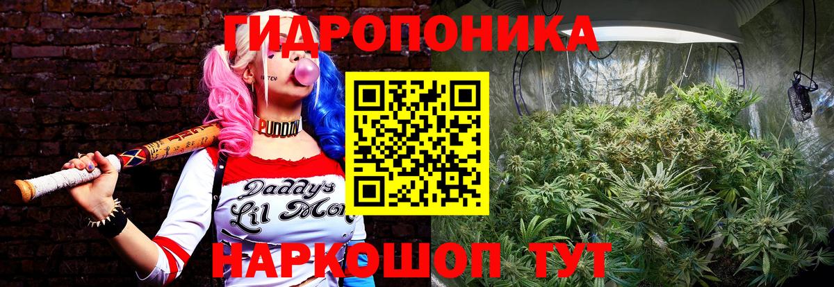 Котельники  Шишки марихуана семена  Конопля планчик  Вход с VPN 